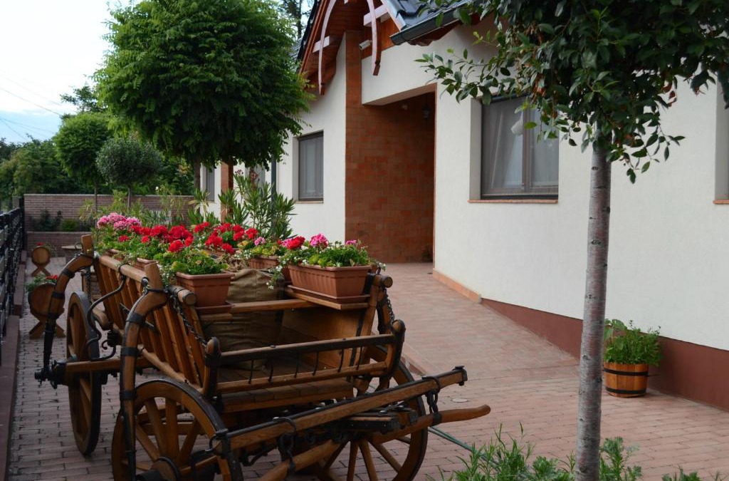 Kapuvar House | Hanság Vendégház