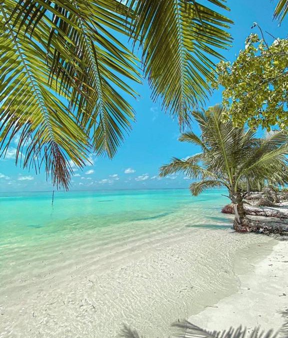 Kaashidhoo House | Happy Feet Inn