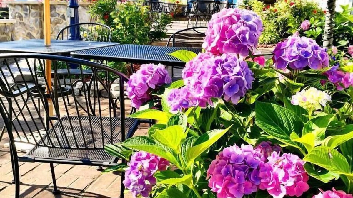 Put-in-Bay House | Harbour Square Suites