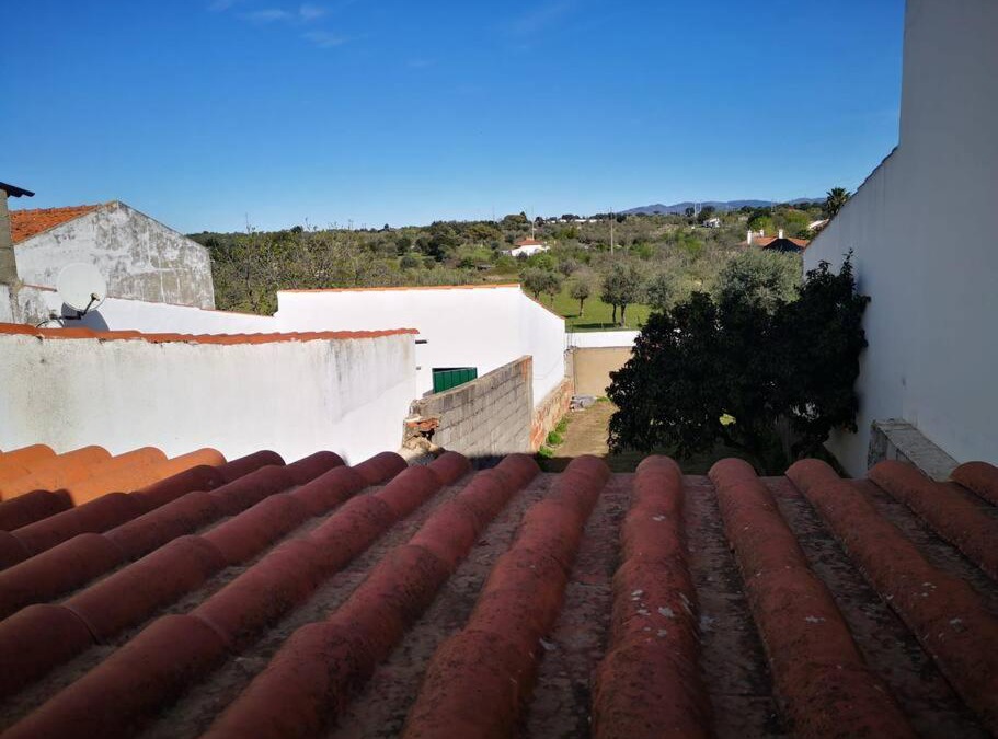 Alpalhao House | Harmony and Wisdom