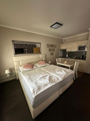 Harrachov Apartment | Harrachov Resident Apartments "Terrace & Chill" - high speed WiFi, možnost snídaně, Smart TV, Netflix, Disney plus
