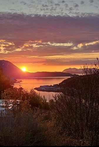 Harstad Apartment | Harstad, all seasons