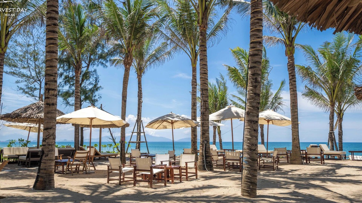 Cam An Hotel | Harvest Day Hoi An
