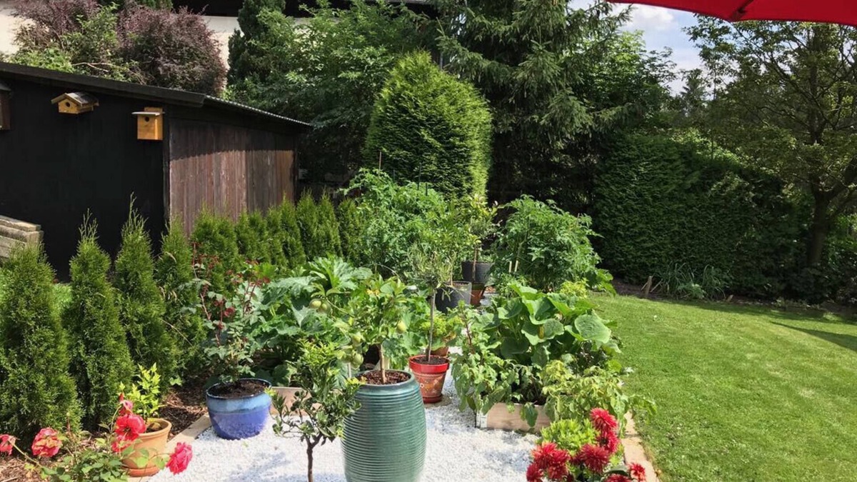 Schulenberg im Oberharz Apartment | Harz and Home - Holiday apartment with WLAN.