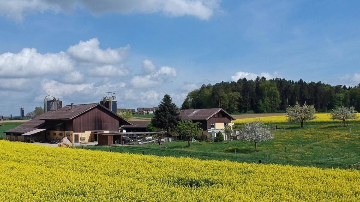 Dinhard Other | Hasler's farm