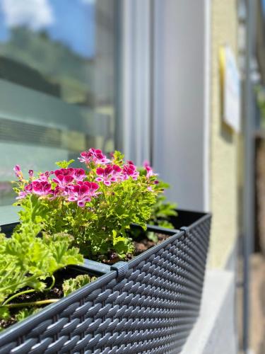 Cochem Apartment | "Haus Bella"