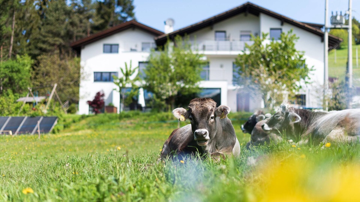 Nova Ponente Apartment | Haus Oberzöhr App 2 - Olympia 2026 cross-country skiing, Nordic combined, ski jumping
