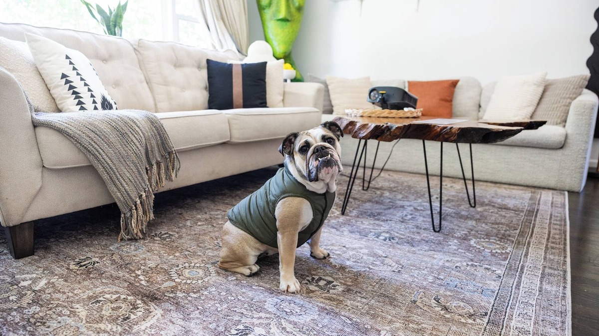 Evanston Apartment | Haus Of Hues: MDRN Bright Peaceful Private Apt