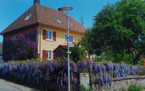 Goerwihl Apartment | Haus Oskar