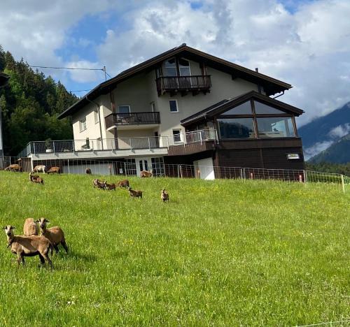 Arzl im Piztal Apartment | Haus Schwaighof