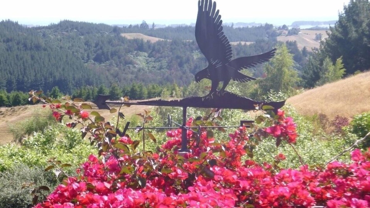 Redwood Valley Cottage | Hawk's Ridge - Redwood Valley