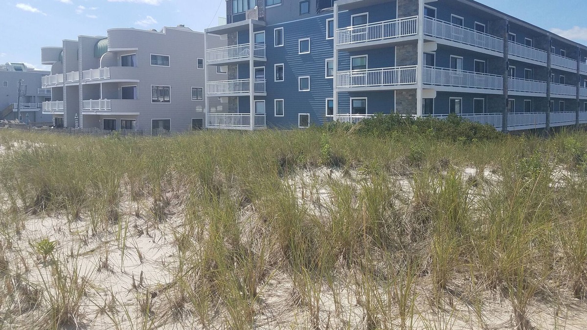 South Seaside Park Condo | Hear the Ocean from this Lovely Condo in Renovated Beachfront Building