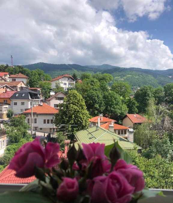 Sarajevo Apartment | Hedgehog's Home - Ježeva kućica Free Parking