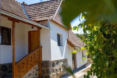 Siclod House | Hegyi Lak