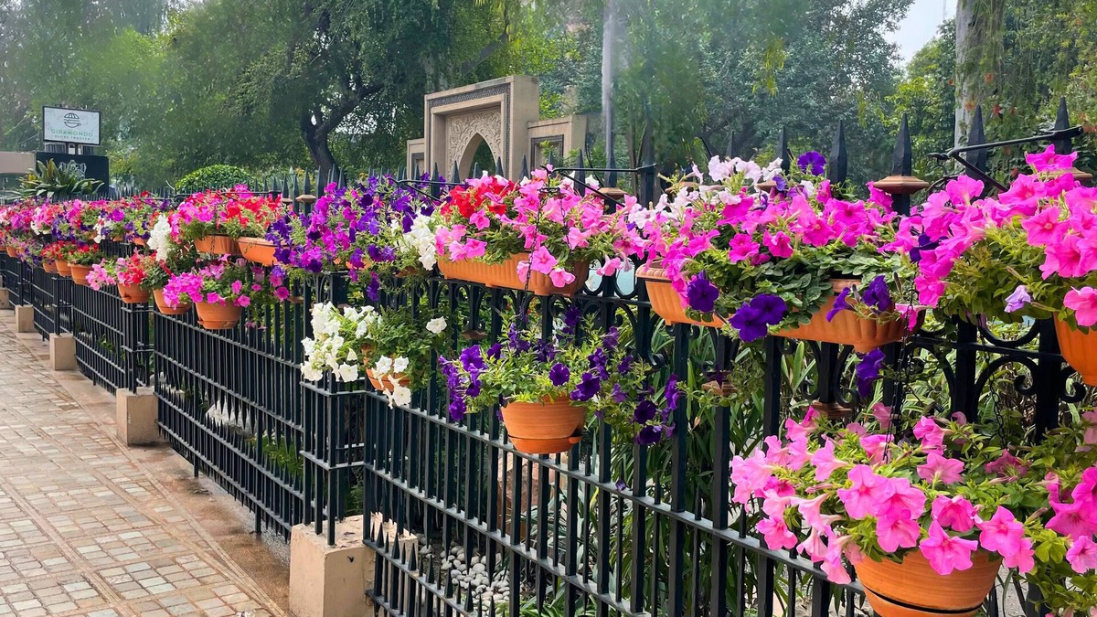 Gulberg Hotel | Heritage Luxury Suites- ALL Suite Hotel