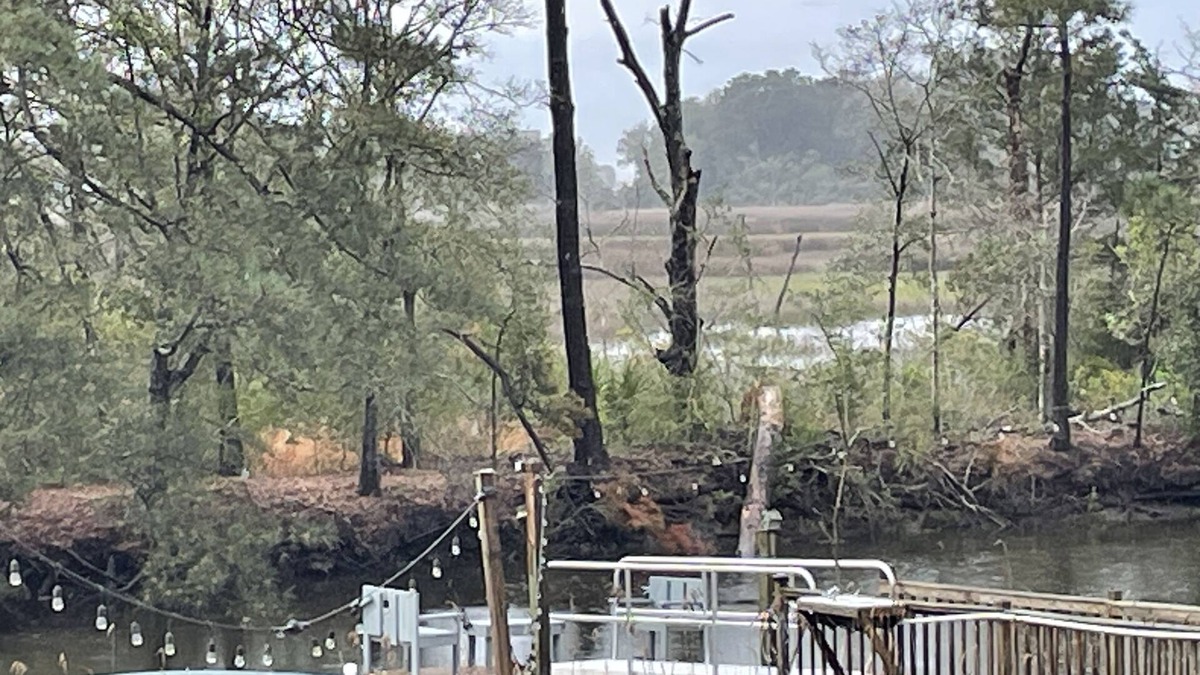 Long Beach House | Heron's Hideaway - Davis Canal fishing dock & kayak launch - dog friendly