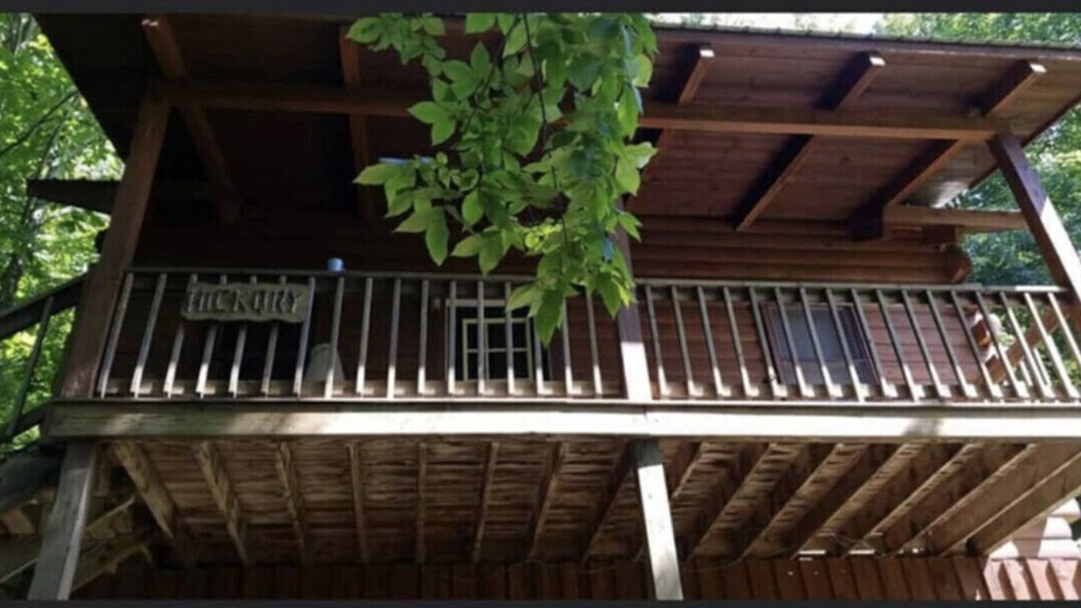 Slaty Fork Cabin | Hickory Cabin at Snowshoe! *Private Hot tub*