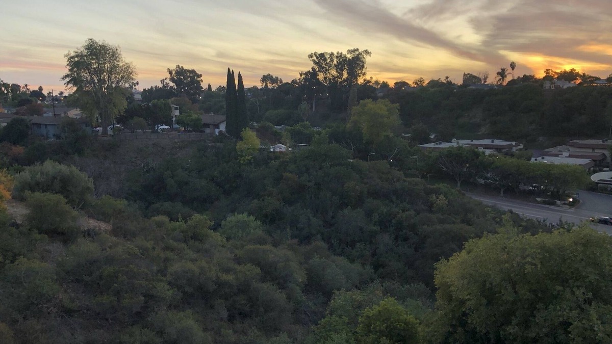 College West House | Hidden Canyon SDSU Lower Level - Winter Discounts!
