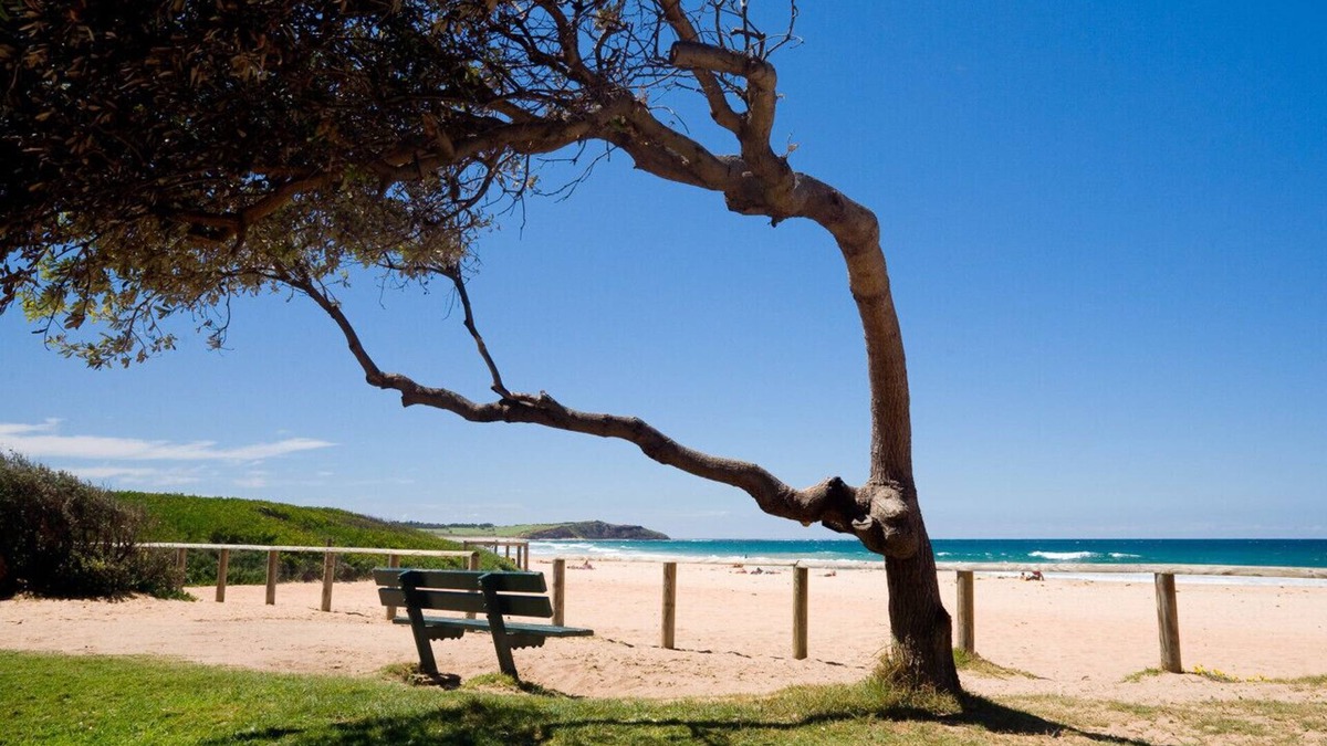 Narraweena House | Hidden Hideaway - Spacious Sanctuary