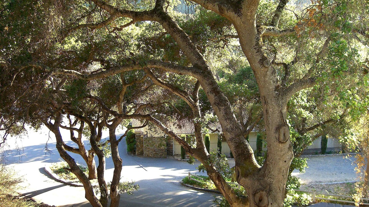 Carmel Valley Hotel | Hidden Valley Inn