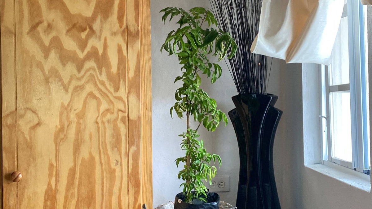 Union Island House | Hideaway in Ashton, homey atmosphere for tranquility - home away from home.