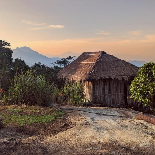 Todupulai House | Hideout Hills