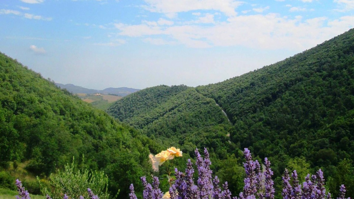 Monterosso Apartment | Hiking and enjoy nature in Le Marche, Italy at Cottage ‘La Terra’
