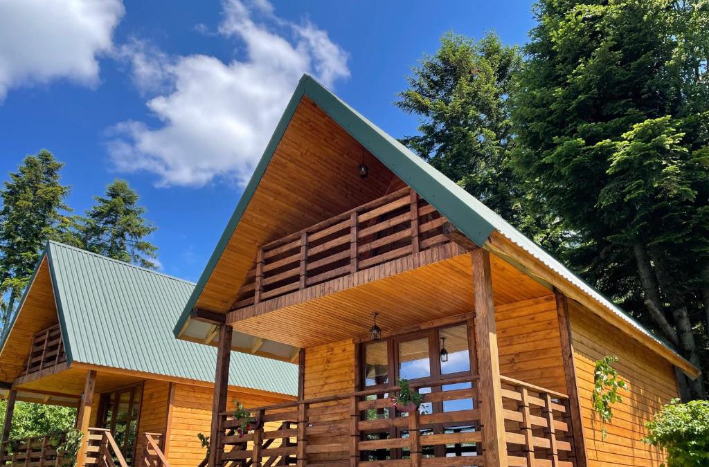 Plavya House | Hill Hut