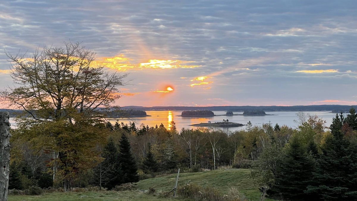 South Addison Cabin | Hillside Lodge with a gorgeous ocean view! - 10 min from the beach!