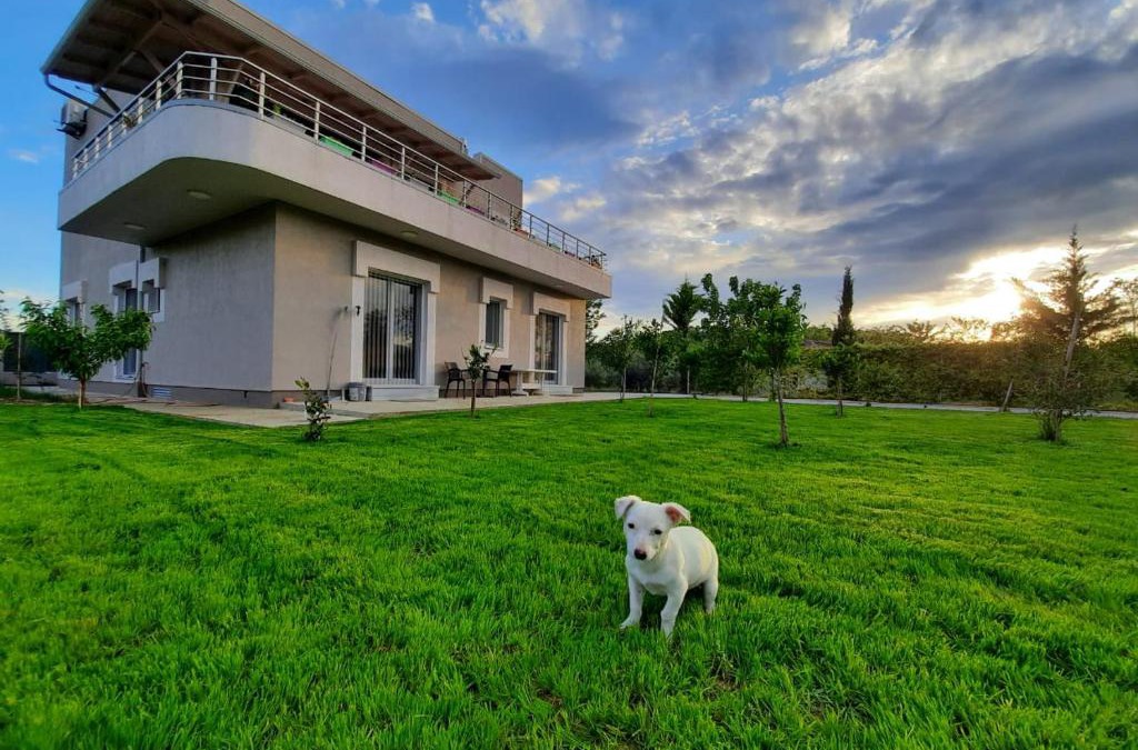 Elbasan Bed & Breakfast | HILLTOP HIDEAWAY