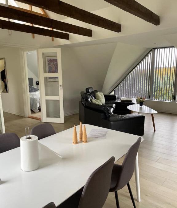 Viborg Apartment | Hilmor's Lejligheder