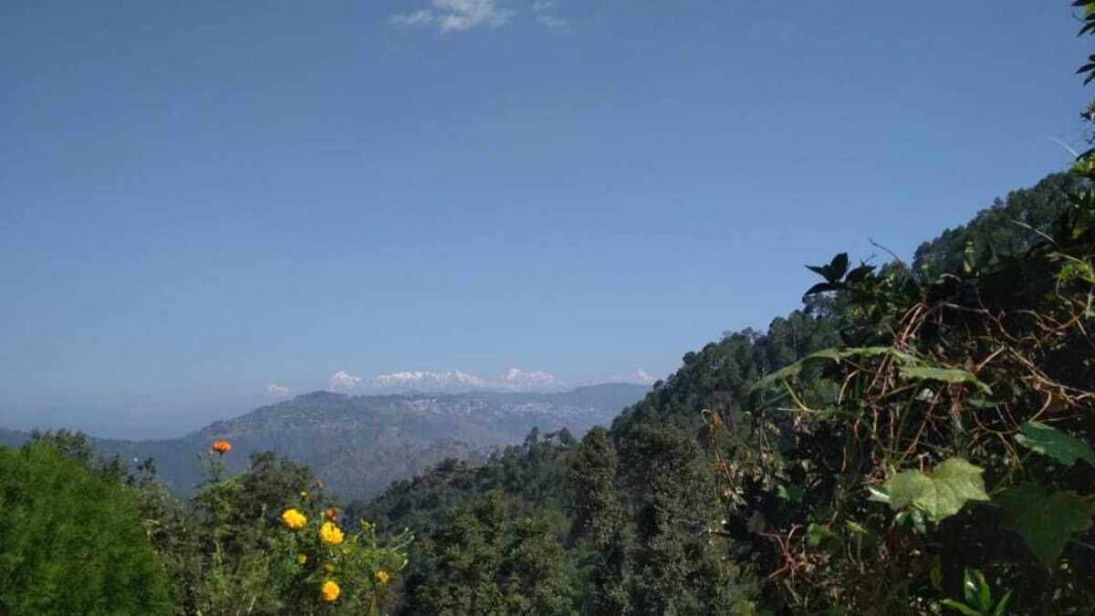 Kaul House | Himalayan View,Chirpy Morning