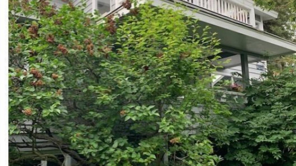 South Addition Bed & Breakfast | Historic Downtown 2BR large Apt near Ocean
