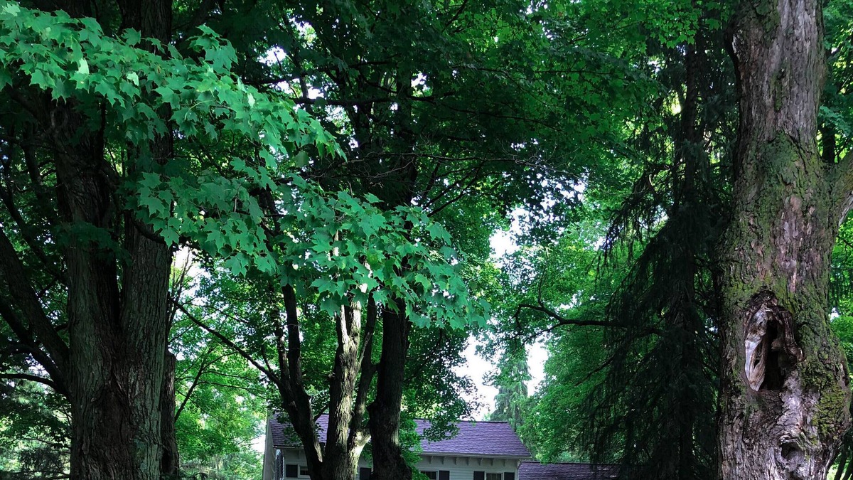 Palmyra House | Historic Farmhouse on 100 acres