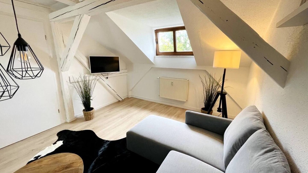 Zwickau Apartment | Historic flat in Zwickau city centre