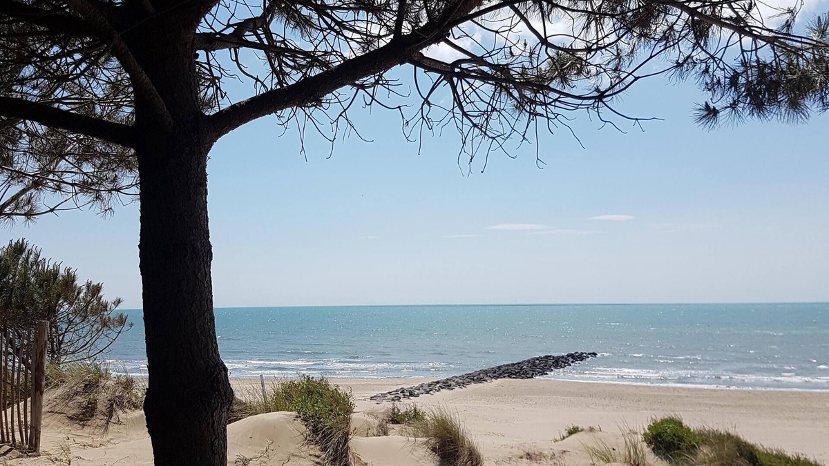 Florensac House | Historic town house roof terrace only 9 km to sandy beach - Vive la France