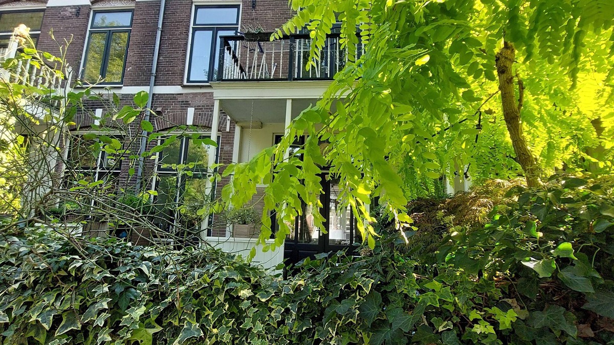 Park Merwestein en omgeving House | Historic townhouse with 5 bedrooms In Holland's oldest city center