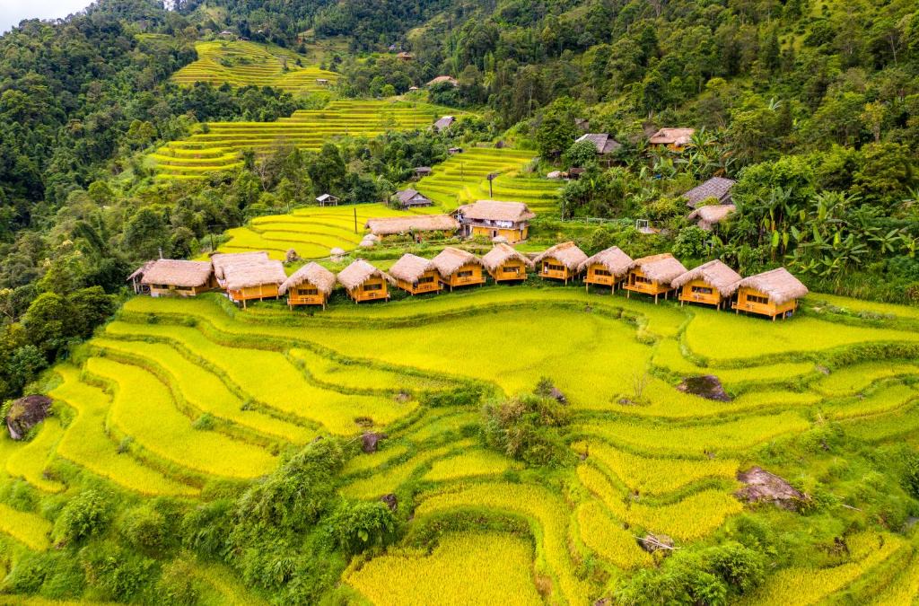 Thong Nguyen Hotel | Hoang Su Phi Lodge
