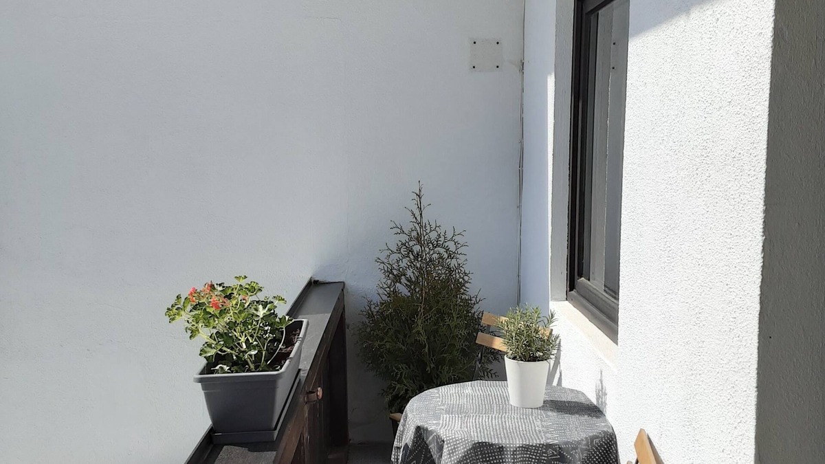 Bad Sachsa Apartment | Hochwald-Riant apartment with balcony on the garden side
