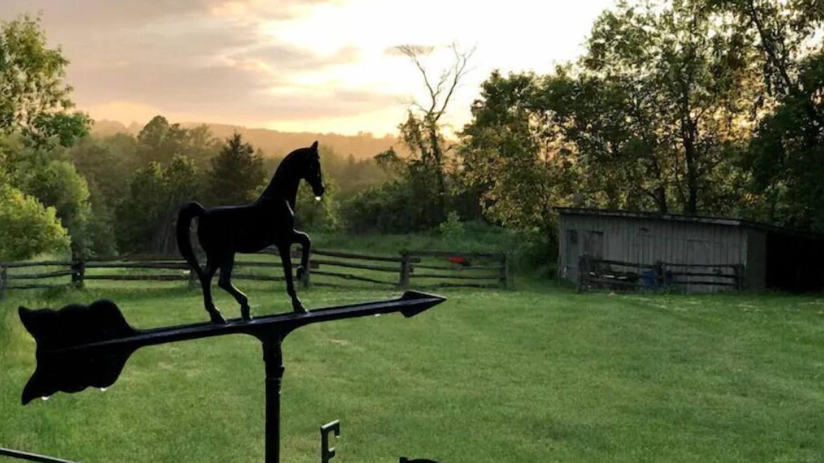 Adjala-Tosorontio House | Hockley Hideaway Farm Stay!n