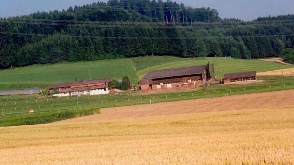 Dietikon District Apartment | "Hof Eggweid" flat with a view of the mountains
