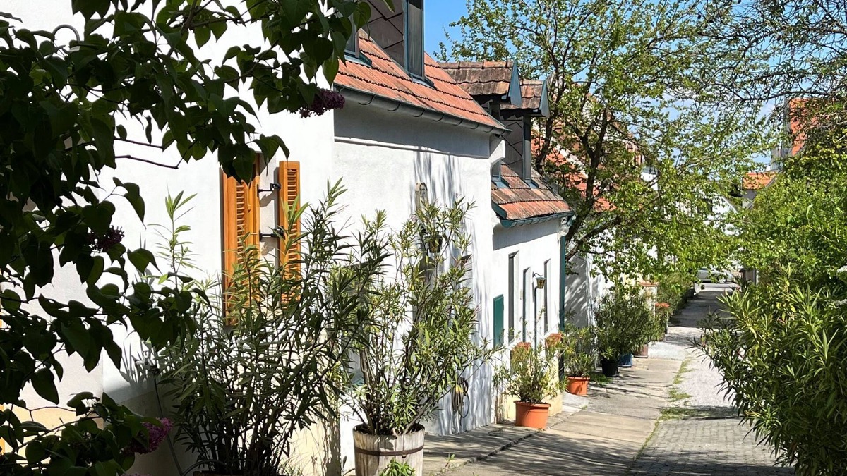 Morbisch am See Apartment | Hofgasse by Interhome