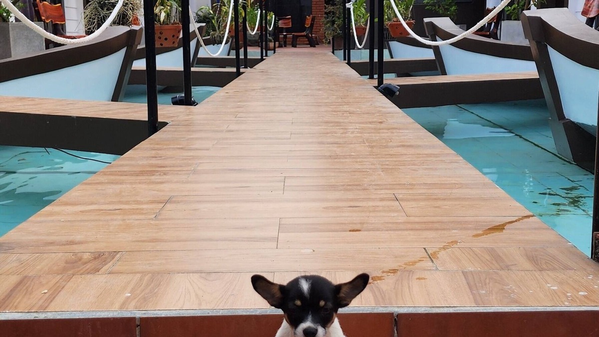 Dien Duong Villa | Hoi An Coco Bungalows