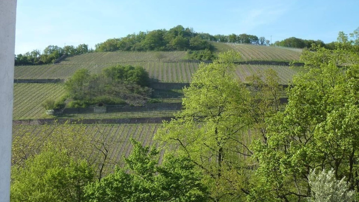 Assmannshausen Apartment | Holiday apartment Rüdesheim am Rhein for 1 - 2 persons with 1 bedroom - Holiday apartment in one or