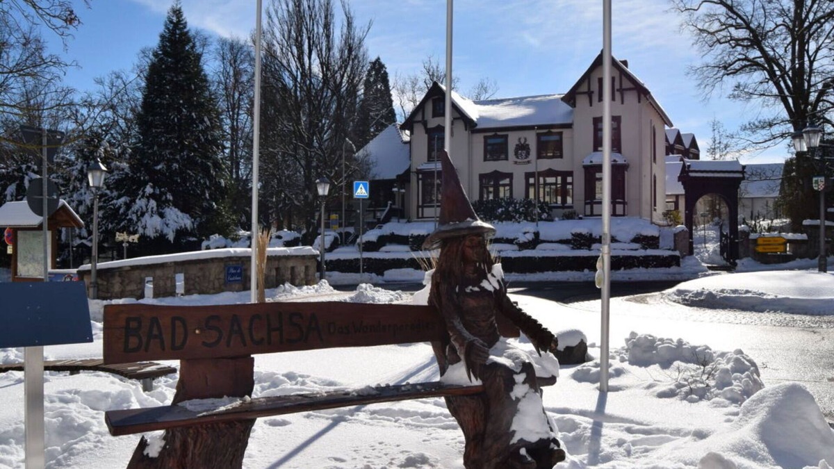 Bad Sachsa Apartment | Holiday apartment Busch