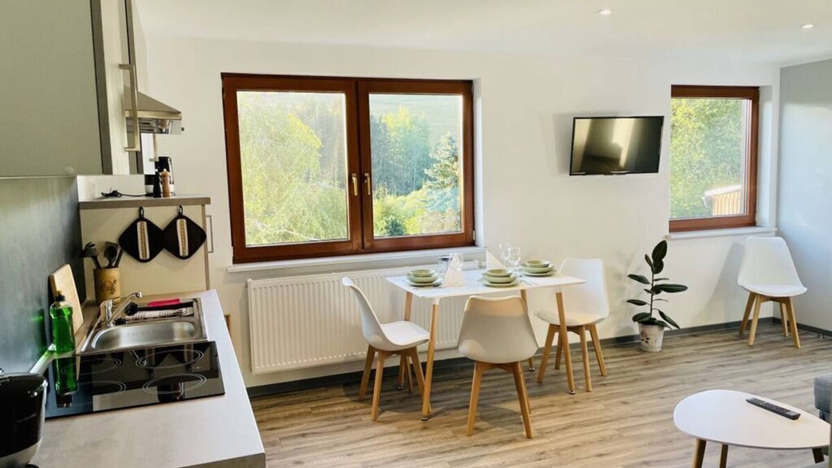 Klingenthal Apartment | Holiday apartment mountain view