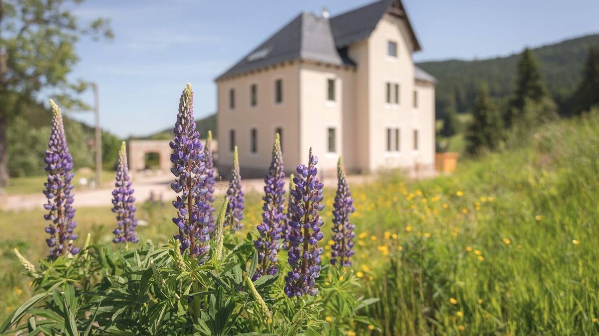 Wildenthal Apartment | Holiday apartment Eibenstock for 2 persons with 1 bedroom - Holiday apartment