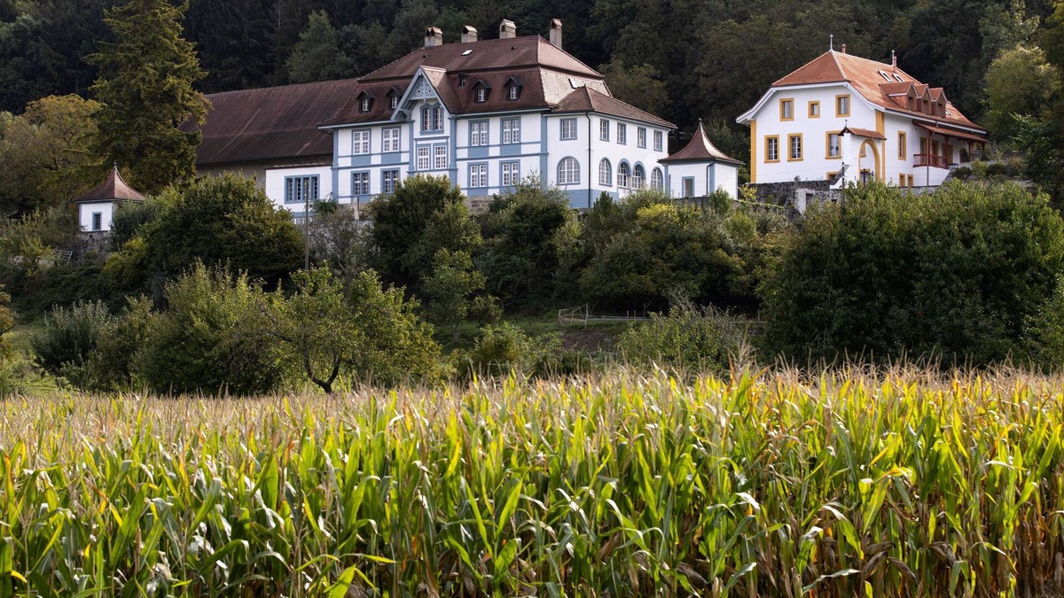 Marnand Other | Holiday apartment Marnand for 1 - 2 persons with 1 bedroom - Holiday apartment in one or multi-famil
