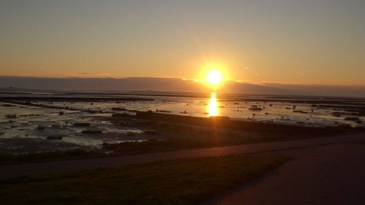 Fedderswarf Apartment | Holiday apartment Oystercatcher