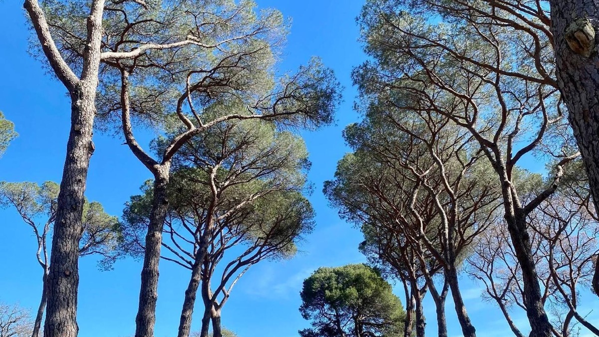 Pezenas Other | Holiday apartment Pézenas for 1 - 2 persons with 1 bedroom - Holiday house